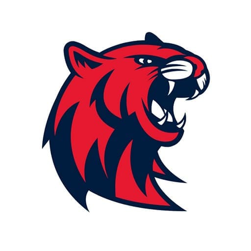 Rogers State Hillcats Basketball